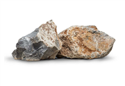 Πέτρα Μέδουσα, πέτρα κήπου, πέτρες διακόσμησης, πέτρες φυικές