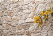wall stone - veneer beige yellow color - rock face yellow